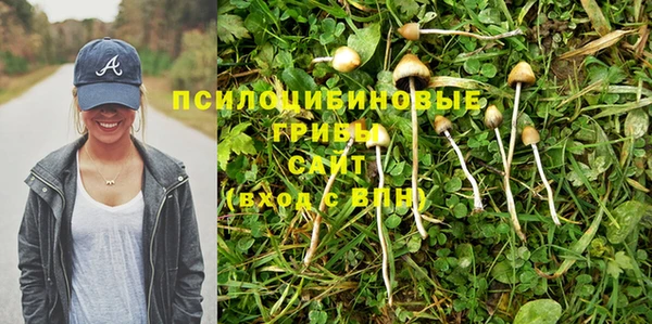 соль курить ск Верхний Тагил