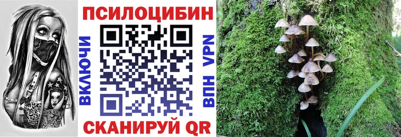 Купить  Невьянск  Галлюциногенные грибы мухоморы 